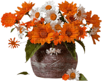 autumn flowers - kostenlos png
