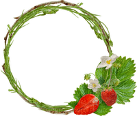 Strauberry.Frame.Circle.Cadre.Victoriabea - PNG gratuit