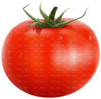 Tomate, Tomato - zadarmo png