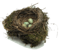 Kaz_Creations Birds Nest - Free PNG