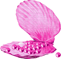 Seashell.Pearls.Pink - ingyenes png