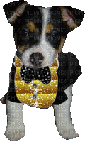 Kathleen Reynolds Dog Pup - Gratis geanimeerde GIF