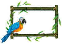 summer ete  bird parrot oiseau plant jungle  frame cadre rahmen tube - PNG gratuit
