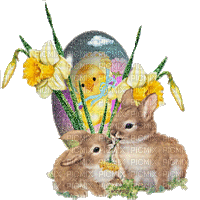 Easter bunny - Animovaný GIF zadarmo