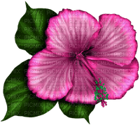 Tropical.Flower.Pink - безплатен png