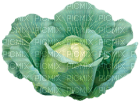 Kaz_Creations Vegetables - 免费PNG