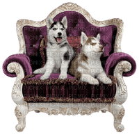 dog hund chien animal tube sofa furniture vintage - zdarma png