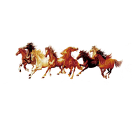 Chevaux - 免费PNG