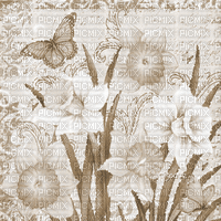 soave background animated  flowers daffodils - Безплатен анимиран GIF