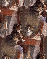 mirror image bp - Безплатен анимиран GIF