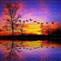 image encre paysage la nature coucher du soleil effet oiseaux arc en ciel edited by me - ücretsiz png