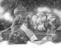 Y.A.M._New year Christmas cat black-white - zdarma png