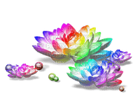 Flowers.Beads.White.Rainbow - zdarma png