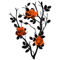 Gothic.Roses.Black.Orange - PNG gratuit