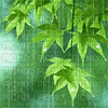 pluie eau vert feuilles - GIF animé gratuit