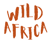 Wild Africa.Text.Brown.gif.Victoriabea - Bezmaksas animēts GIF