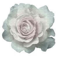 white-rose-flower-minou52 - ücretsiz png