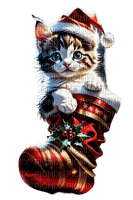 Gato - Navidad - Rubicat - png ฟรี