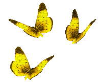 Animated.Butterflies.Yellow - By KittyKatLuv65 - Free animated GIF