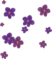 Fleurettes violettes en pluie - nemokama png