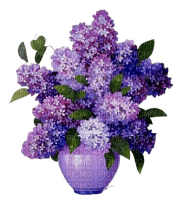 fleurs lilas - gratis png