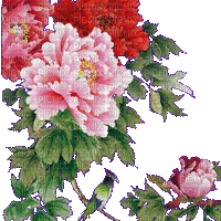 Kwiaty - Bezmaksas animēts GIF