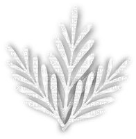 leaves Bb2 - Free PNG