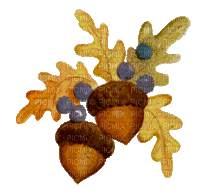 Autumn Acorn - GIF เคลื่อนไหวฟรี