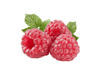 raspberries bp - бесплатно png
