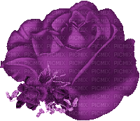 Flower, Flowers, Deco, Decoration, Rose, Roses, Purple - Jitter.Bug.Girl - Animovaný GIF zadarmo