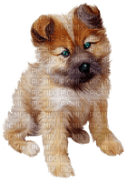 Kaz_Creations Dog Pup - png ฟรี