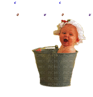 coucou bébé - Free animated GIF