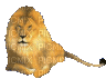lion-NitsaPap - Gratis animeret GIF
