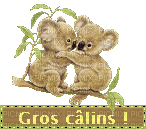 grooos calin - 無料のアニメーション GIF