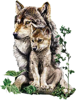 wolfs - png ฟรี