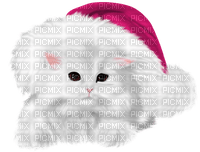 pink christmas cat - nemokama png