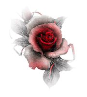 rose 2 - ücretsiz png
