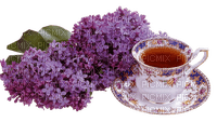 lilacs  Bb2 - nemokama png