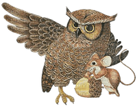 Kaz_Creations Owls Owl Birds Bird - безплатен png