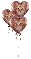 ballons de chatons - GIF animasi gratis