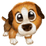 dog gif - Бесплатный анимированный гифка