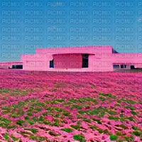Pink Shopping Mall in the middle of a Field - Free PNG
