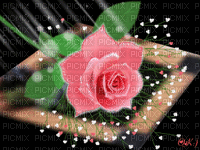 mozgó rózsácska - GIF animado grátis