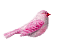 pink bird - zdarma png