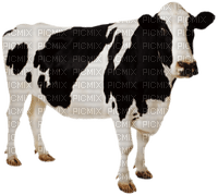 Kaz_Creations Cow - ilmainen png