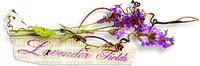 soave text deco lavender flowers purple pink green - Free PNG