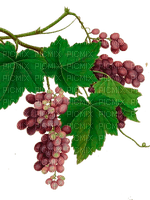 Y.A.M._Summer Flowers Decor Grape - PNG gratuit