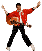 Elvis Presley--Nitsa P