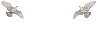 Pombos - Darmowy animowany GIF