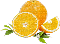 soave deco  summer fruit citrus  orange green - 無料png